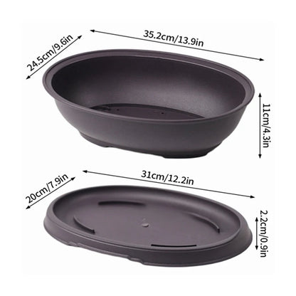 Pot Bonsaï Décoration Intérieure