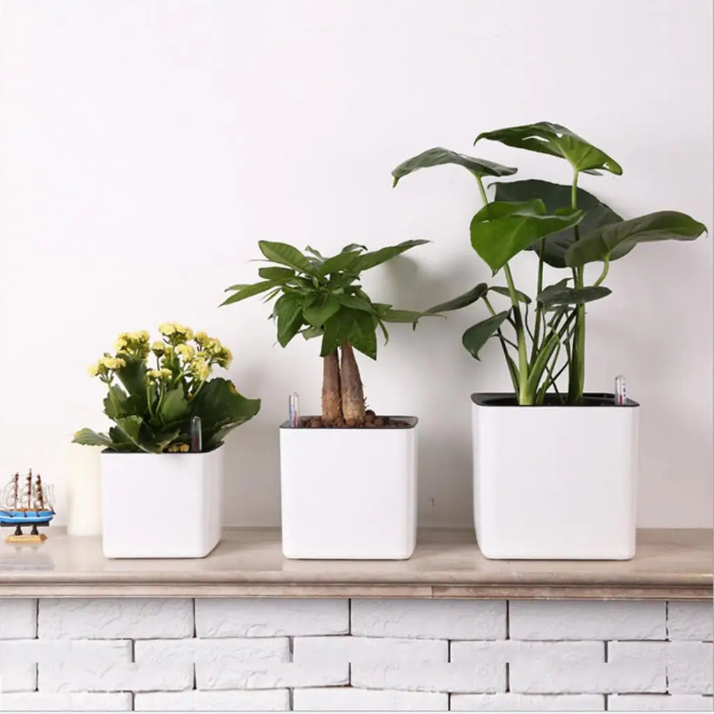 Pot Jardinière