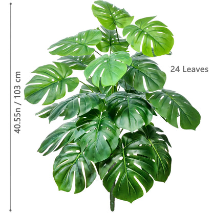Plante Monstera  52-104cm