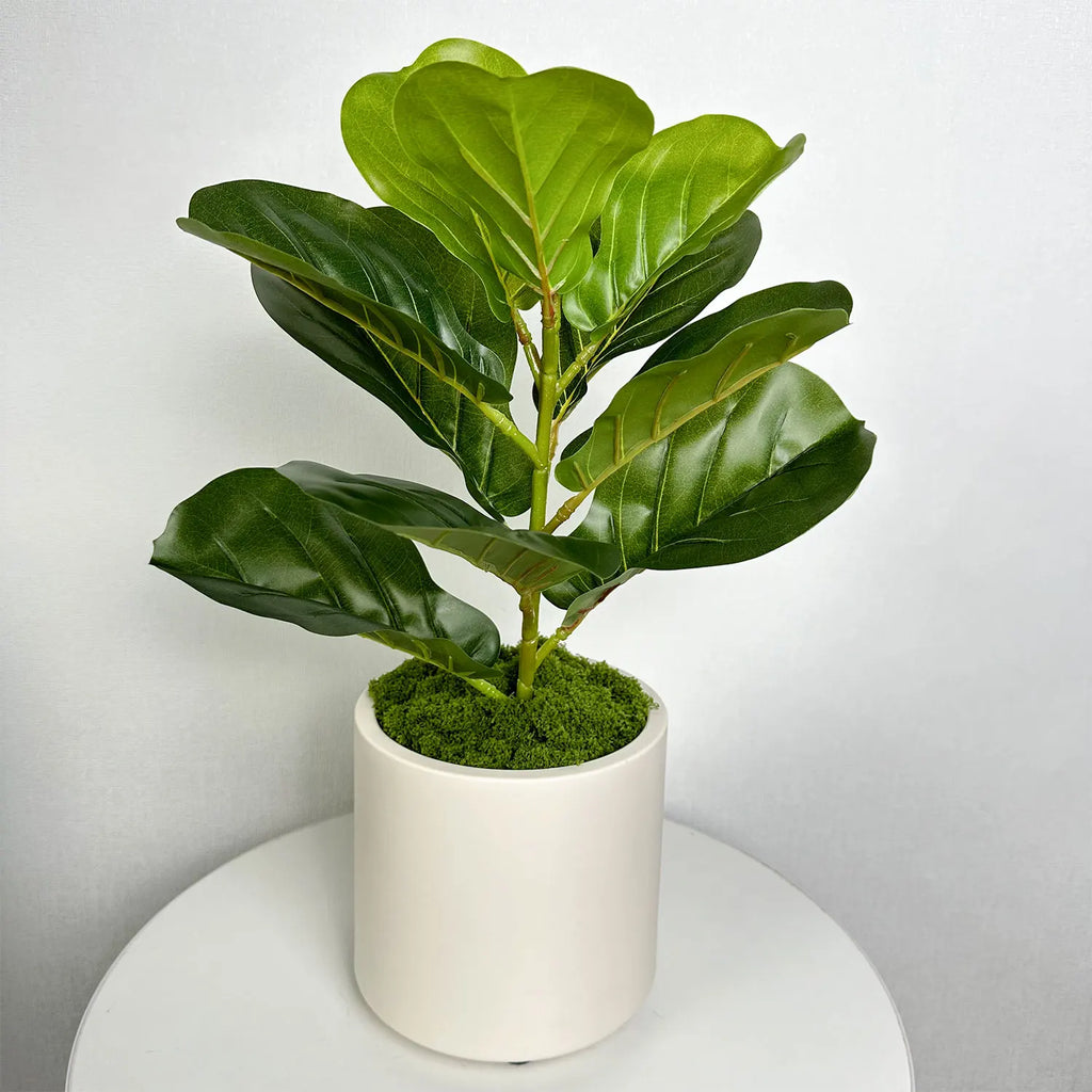 Pot de Fleur Décoratif