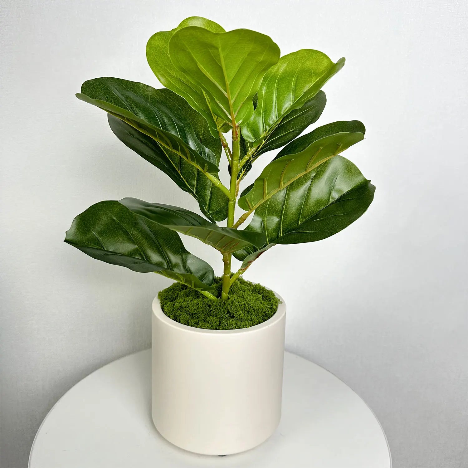 Pot de Fleur Décoratif