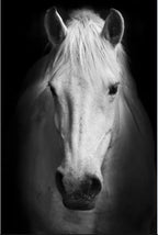 Tableau Moderne Art Animal