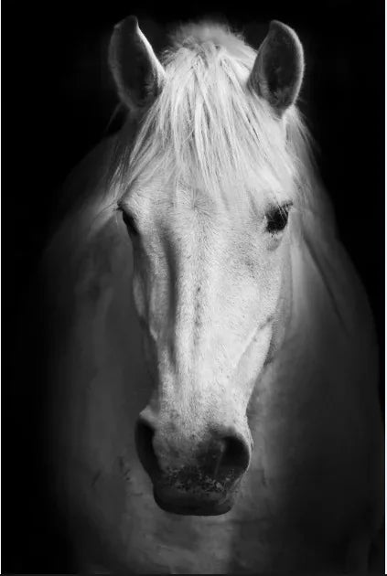 Tableau Moderne Art Animal