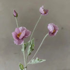 Fleur Artificielle en Soie