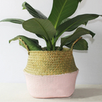 Pot de Fleur Panier