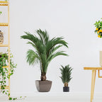 Autocollant Mural Plante
