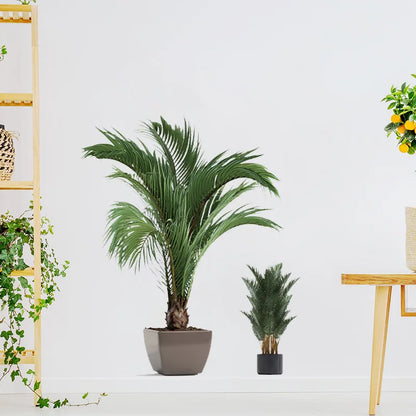 Autocollant Mural Plante