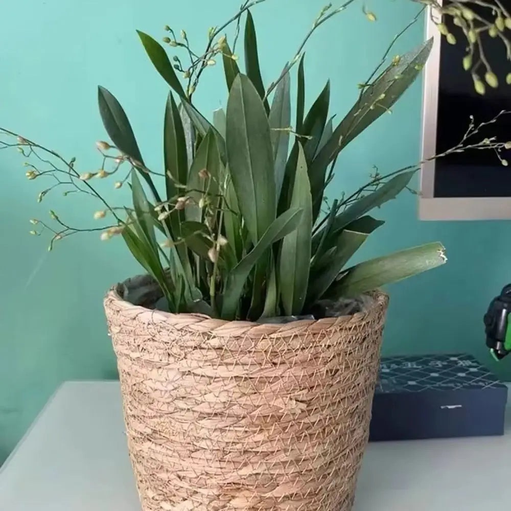 Pot Panier en Paille