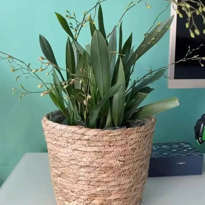 Pot Panier en Paille