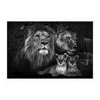 Toile d’Art Animal  Lion