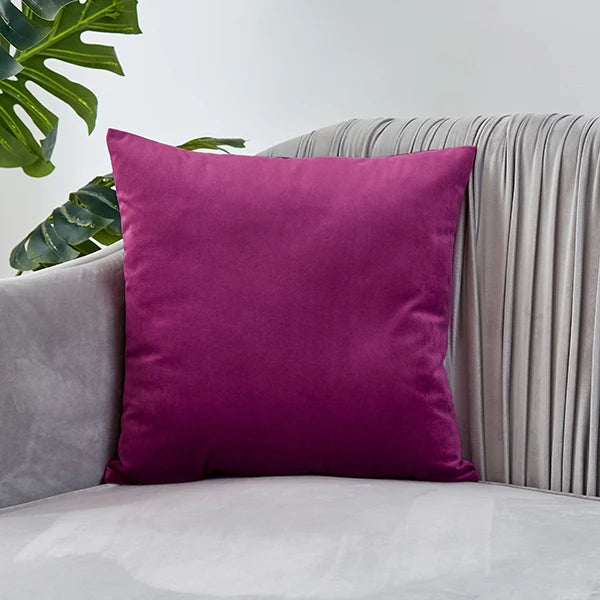 Housse de coussin en velours