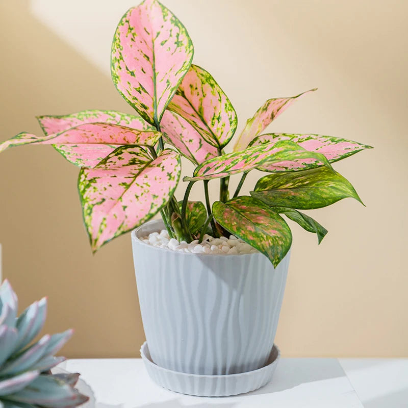 Pot de Fleur en Plastique