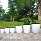 Pot de Fleurs Rod