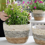 Pot de Fleurs Panier
