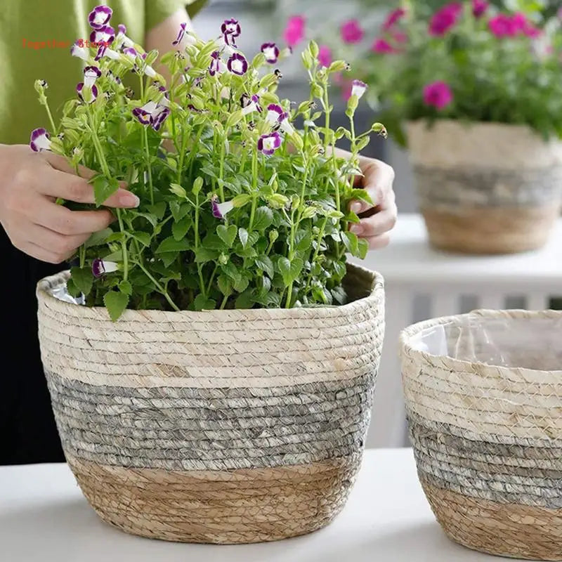 Pot de Fleurs Panier