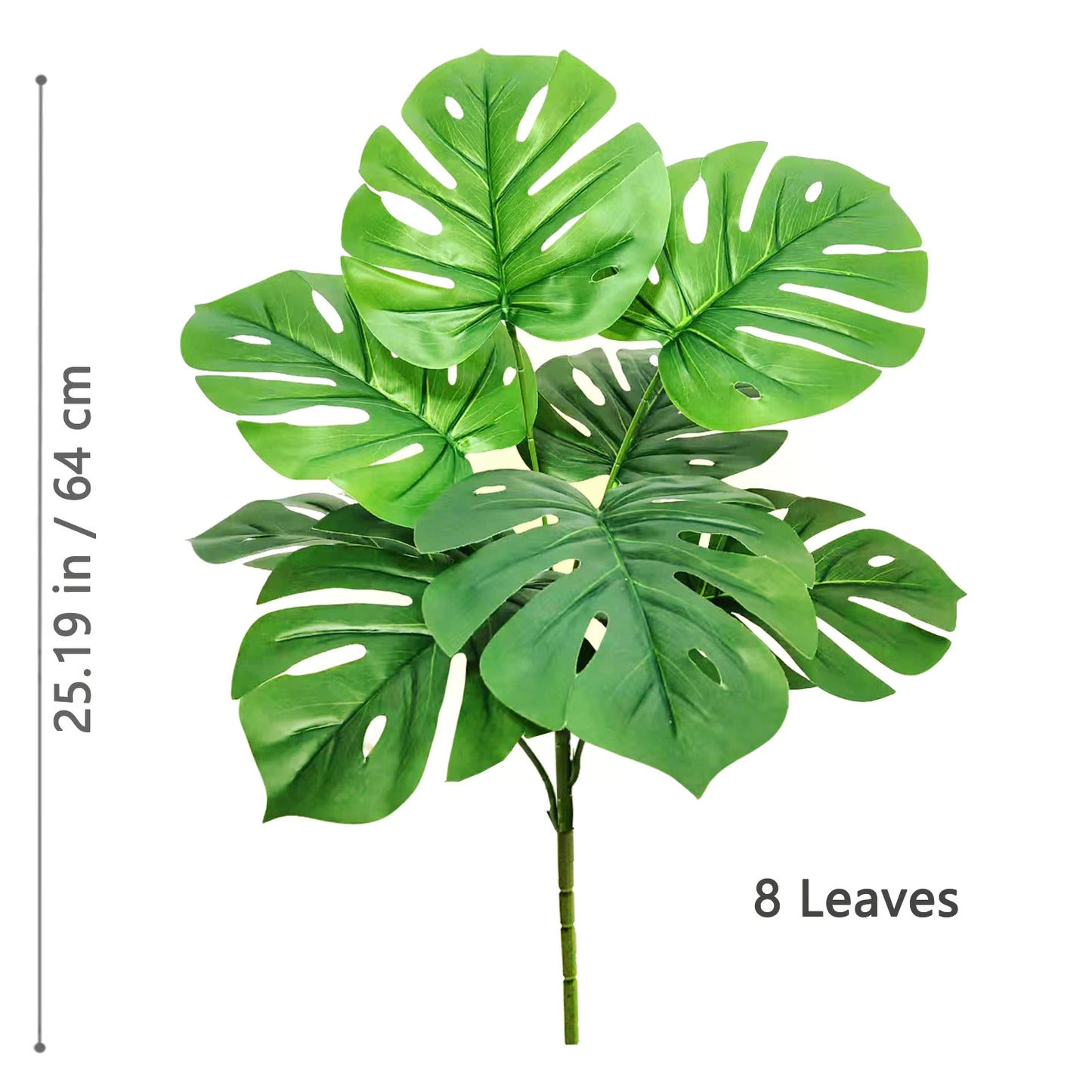 Plante Monstera  52-104cm