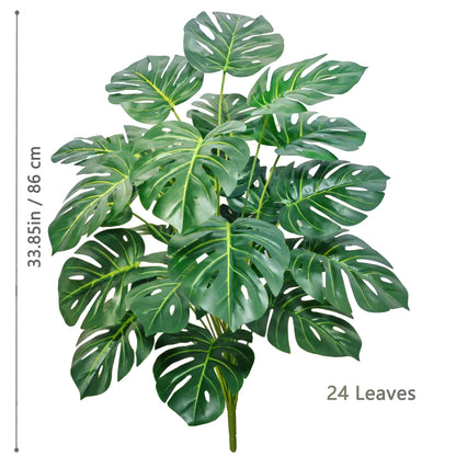 Plante Monstera  52-104cm