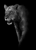 Tableau Moderne Art Animal