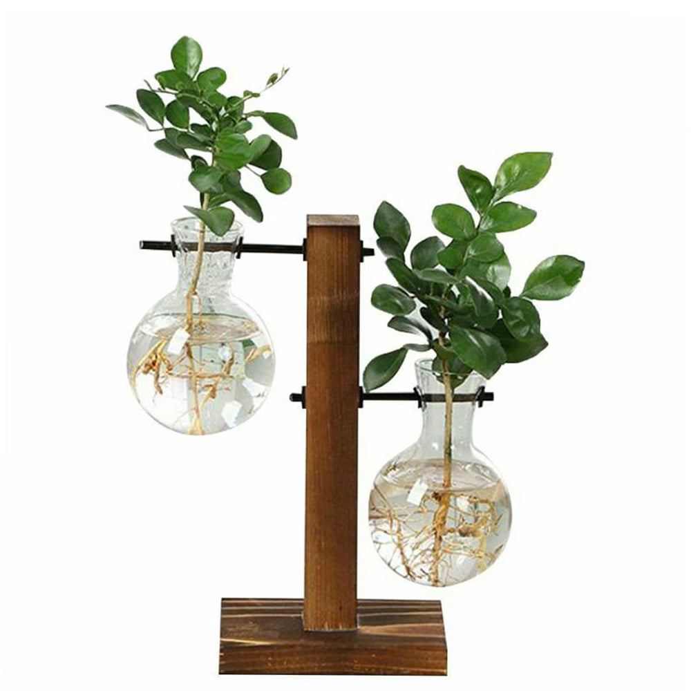 Vase en Verre sur Support Bois