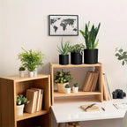 Pot de Fleurs en Plastique
