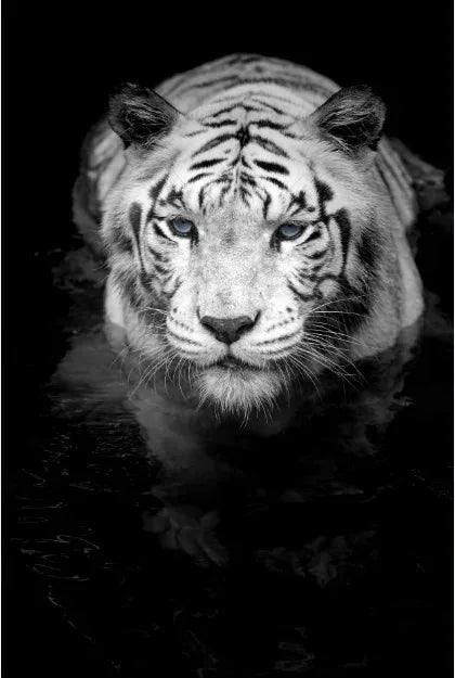 Tableau Moderne Art Animal