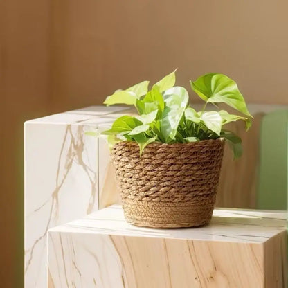 Pot Panier en Paille