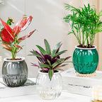 Pot de Fleurs en Plastique