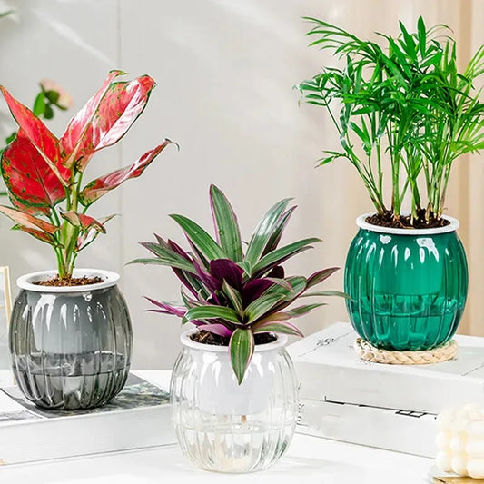 Pot de Fleurs Auto Arrosant