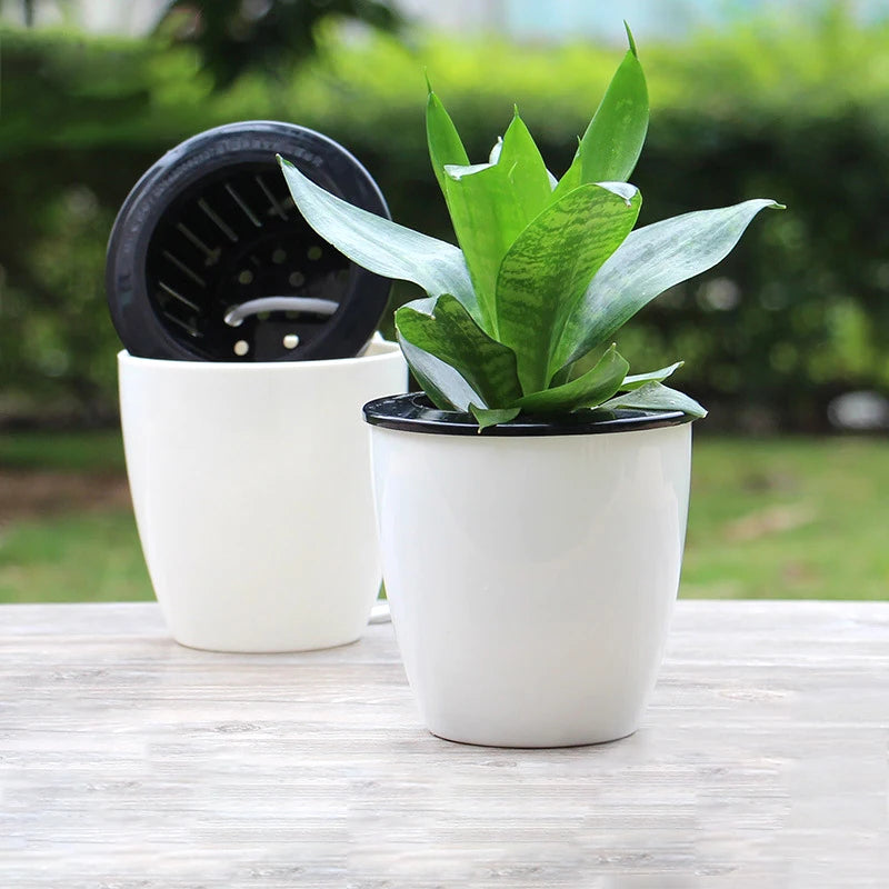 Pot de Fleurs Hydroponique