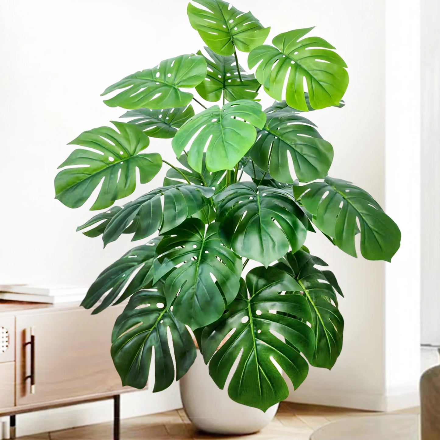 Plante Monstera  52-104cm