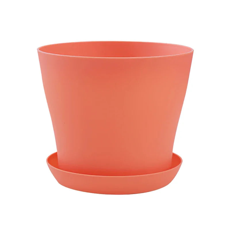Pot de Fleur Coloré