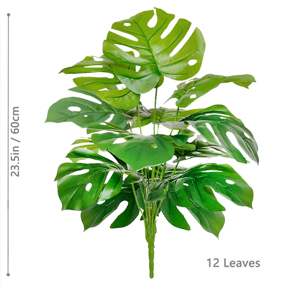 Plante Monstera  52-104cm