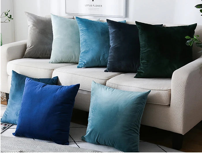 Housse de coussin en velours
