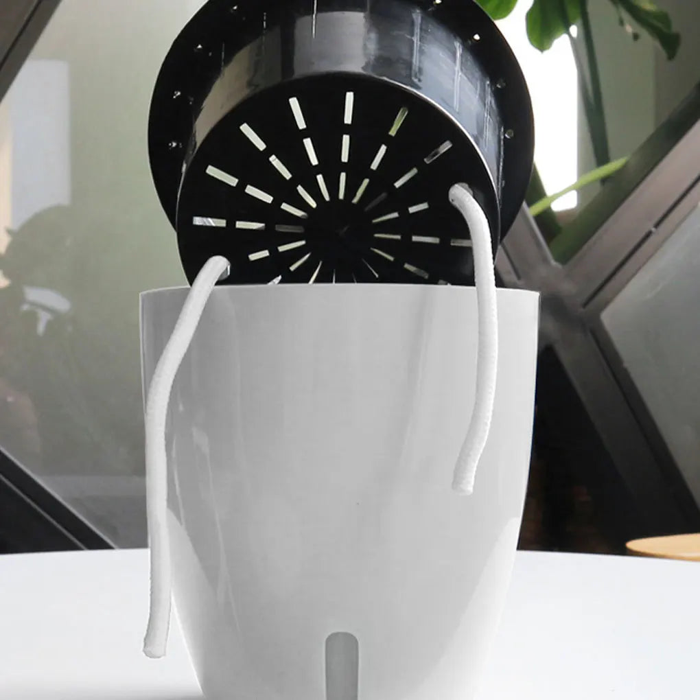 Pot de Fleur Auto Arrosant