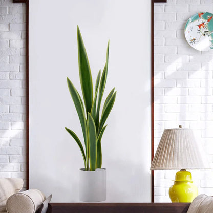 Autocollant Mural Plante