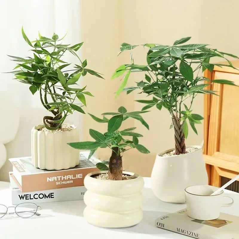 Pot de fleurs INS en céramique blanche - Décoration intérieure