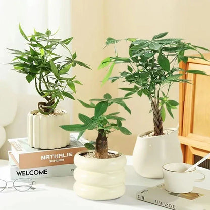 Pot de fleurs INS en céramique blanche - Décoration intérieure