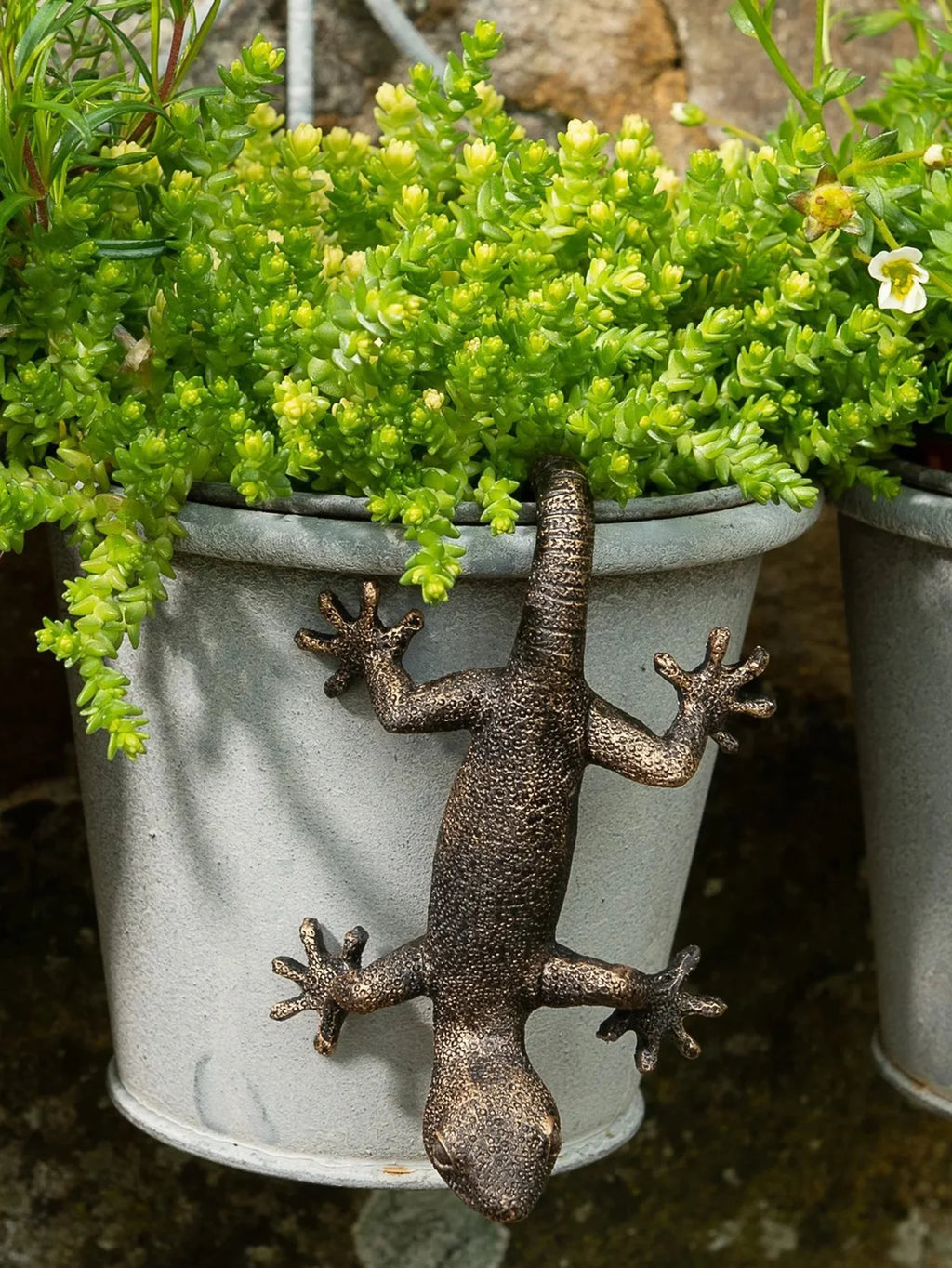 Figurine Animaux Lézard 3D