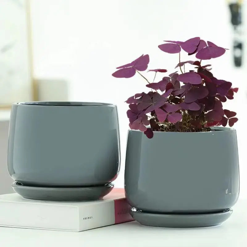 Pot de Fleurs en Céramique