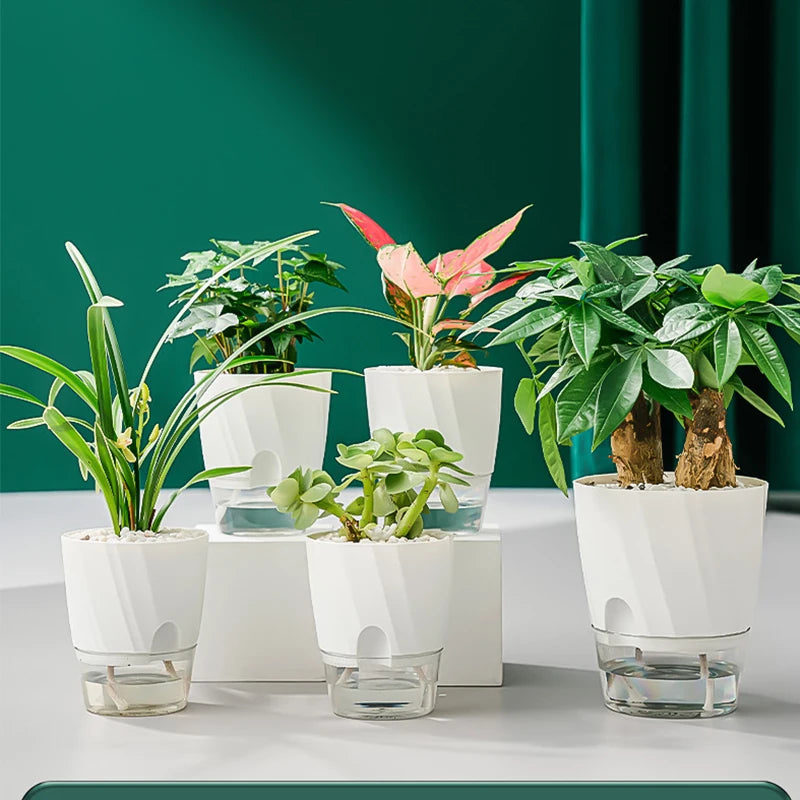 Pot de Fleur Hydroponique