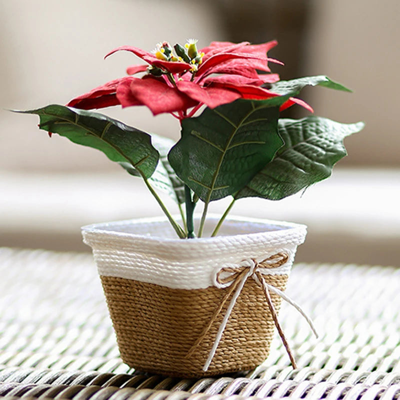 Pot de Fleur en Paille