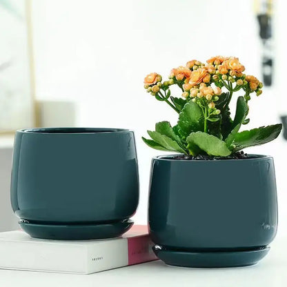 Pot de Fleurs en Céramique Nordique