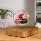 Pot de Fleurs Flottant