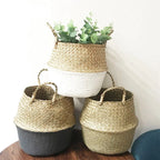 Pot de Fleur Panier