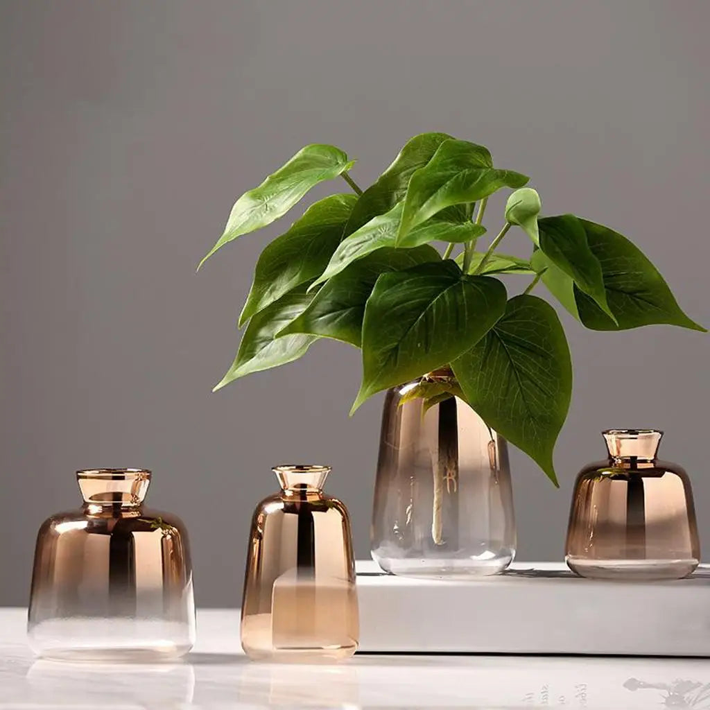 Vase en Verre Doré Transparent