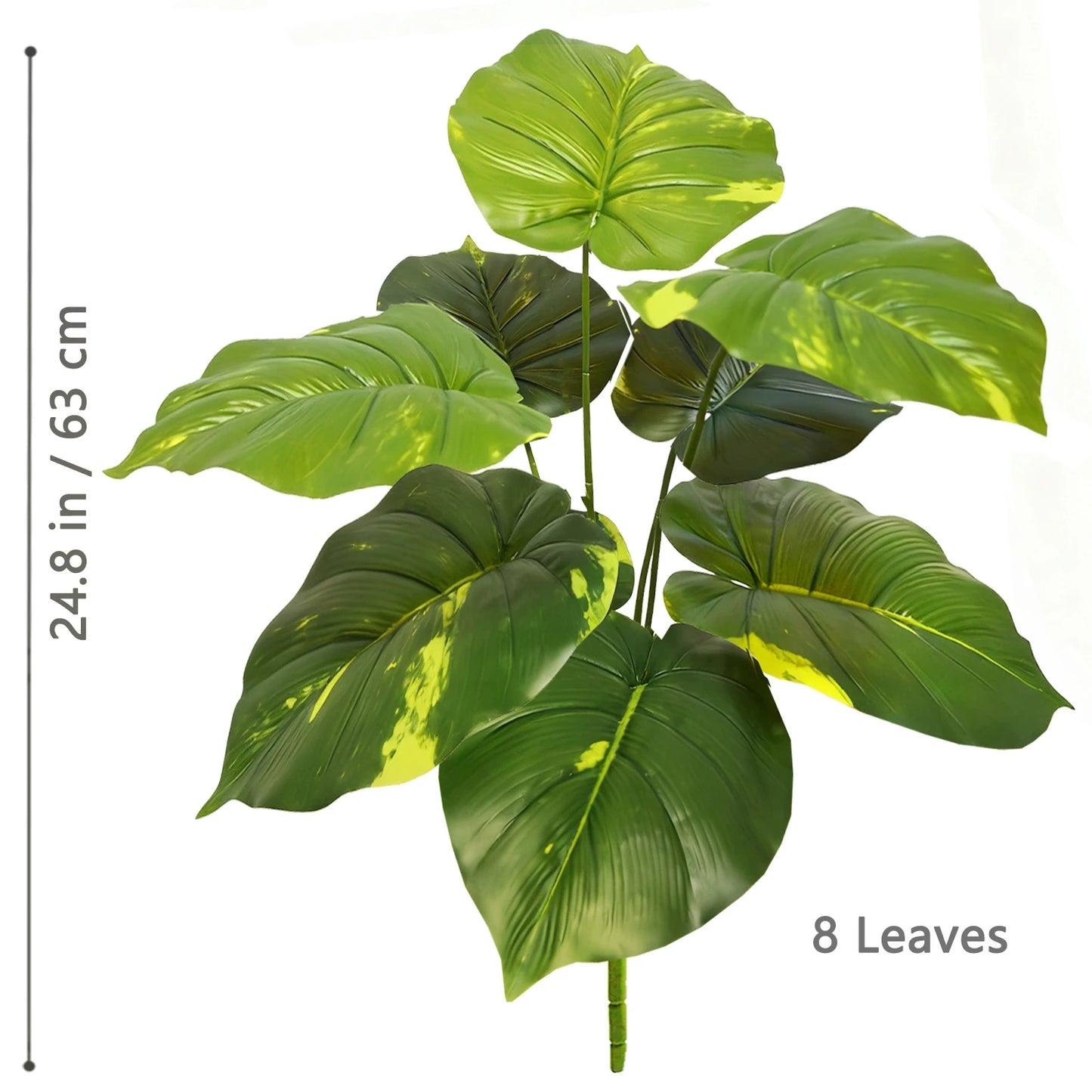 Plante Monstera  52-104cm