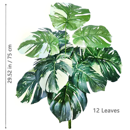 Plante Monstera  52-104cm