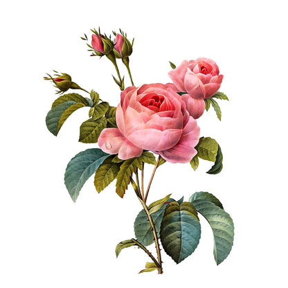 Autocollant Mural Fleur WC