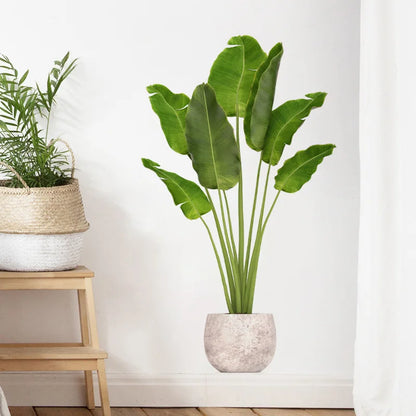 Autocollant Mural Plante