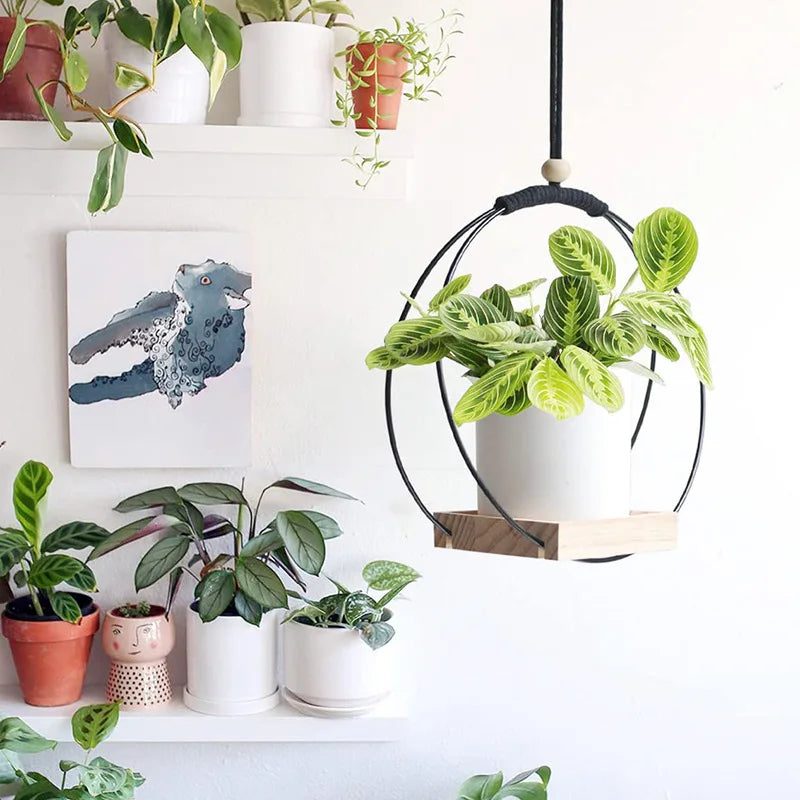 Macramé suspendue en bois naturel - Jardinière